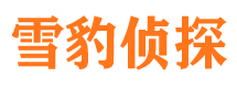 平原市调查公司